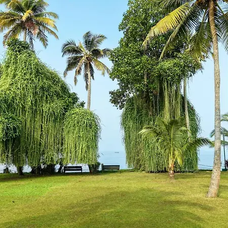 Lakesong Resort, Kottayam